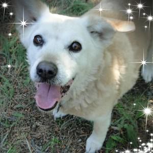 Meet your Posher, Joni